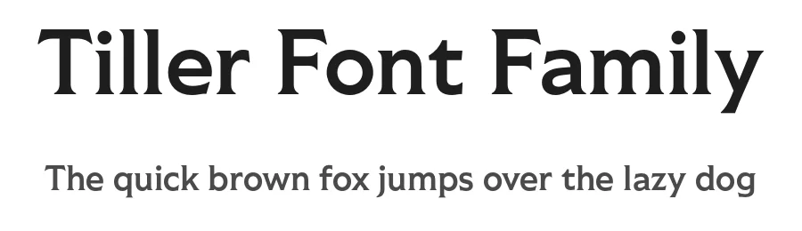 Tiller Font Family by Fort Foundry — Serif Font