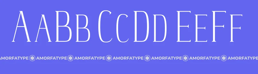 Timehone Font by Amorfa Type — Serif Font — thumbnail 3