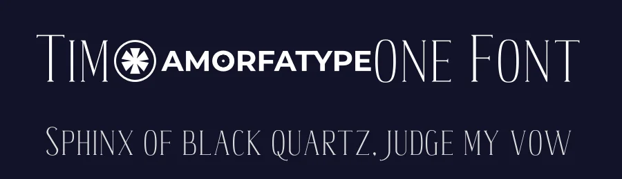 Timehone Font by Amorfa Type — Serif Font — thumbnail 2