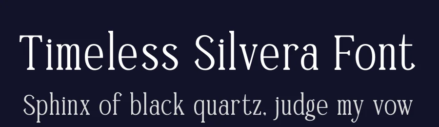 Timeless Silvera Font by letterenastudios — Serif Font — thumbnail 2