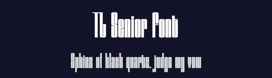 TL Senior Font by Almeera Studio — Sans Serif Font — thumbnail 2