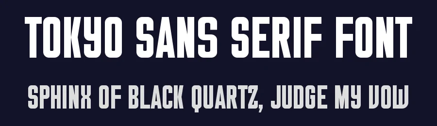 Tokyo Sans Serif Font by Graphicxell — Sans Serif Font — thumbnail 2