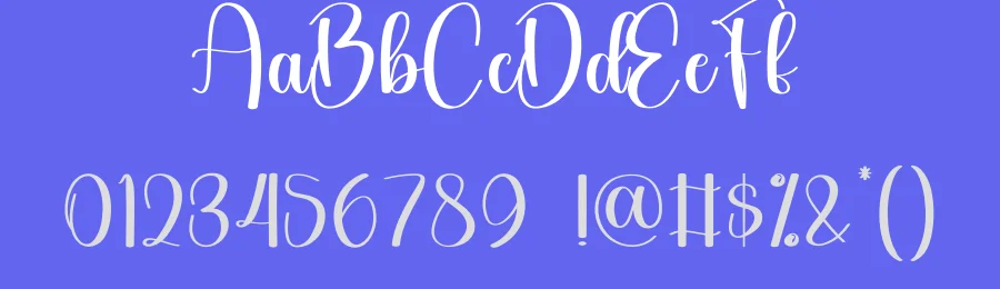 Tonight Calligraphy Script Font by creativeletter — Script Handwritten Font — thumbnail 3