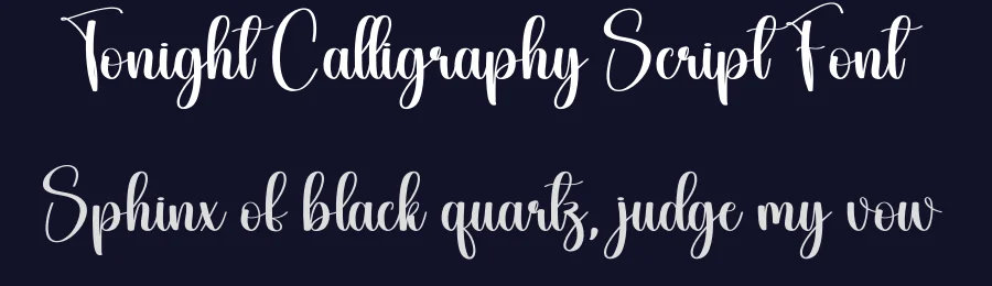 Tonight Calligraphy Script Font by creativeletter — Script Handwritten Font — thumbnail 2