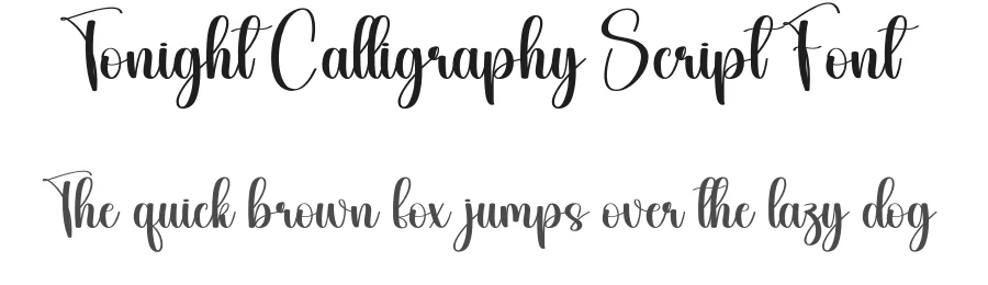 Tonight Calligraphy Script Font by creativeletter — Script Handwritten Font