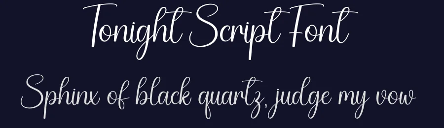 Tonight Script Font by creativeletter — Script Handwritten Font — thumbnail 2