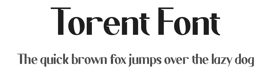 Torent Font by sixtypefoundry — Serif Font