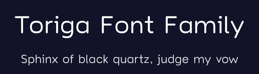 Toriga Font Family by JAM Type Design — Sans Serif Font — thumbnail 2