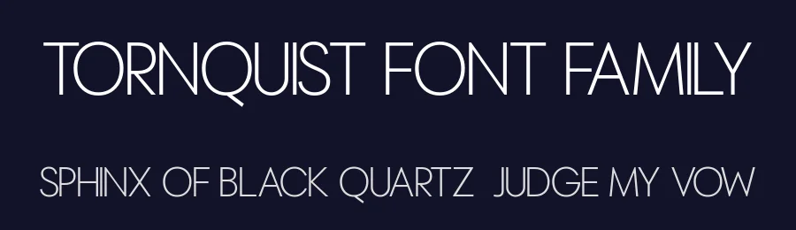 Tornquist Font Family by Nan Design — Sans Serif Font — thumbnail 2