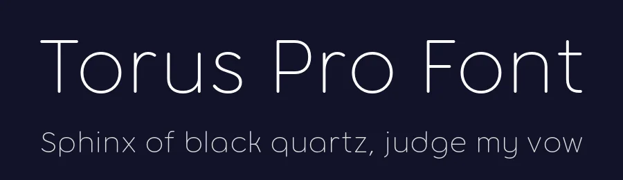Torus Pro Font by Paulo Goode — Sans Serif Font — thumbnail 2