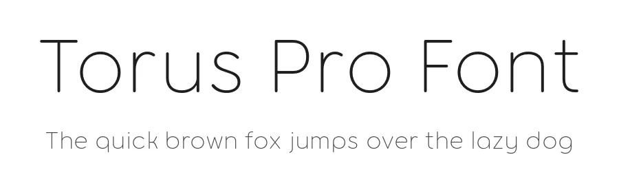Torus Pro Font by Paulo Goode — Sans Serif Font