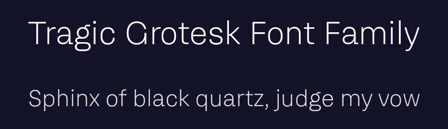 Tragic Grotesk Font Family by CharacterType — Sans Serif Font — thumbnail 2