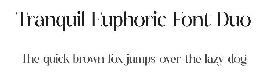 Tranquil Euphoric Font Duo by Storytype — Serif Font