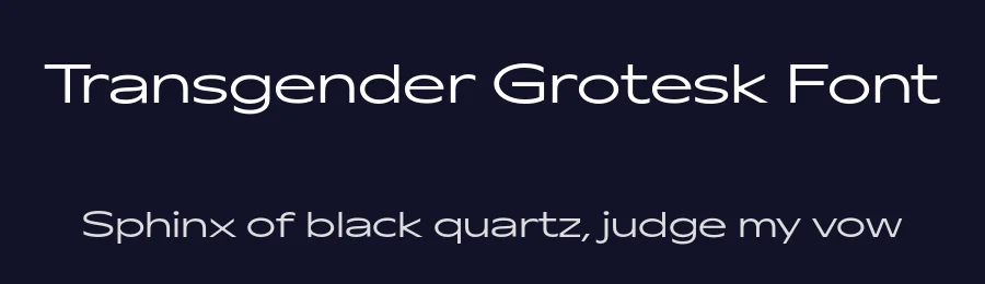 Transgender Grotesk Font by sasha ch — Sans Serif Font — thumbnail 2