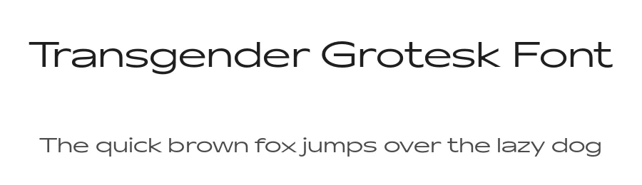 Transgender Grotesk Font by sasha ch — Sans Serif Font