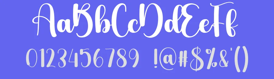 Traveling Script Font by creativeletter — Script Handwritten Font — thumbnail 3