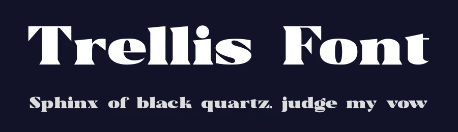 Trellis Font by [email protected] — Serif Font — thumbnail 2