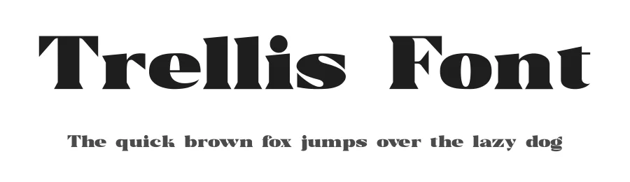 Trellis Font by [email protected] — Serif Font