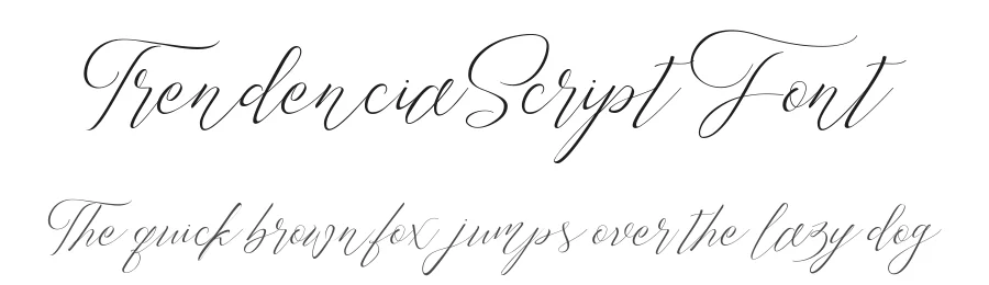 Trendencia Script Font by Dirtyline Studio — Script Handwritten Font