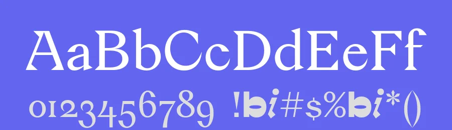 Trigonon Font by Bolditalic Studio — Serif Font — thumbnail 3