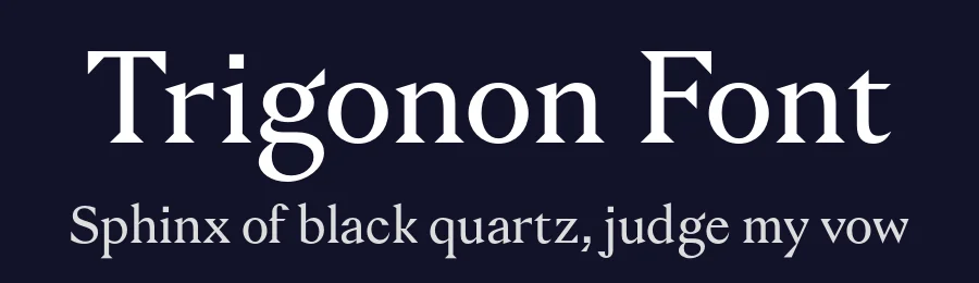 Trigonon Font by Bolditalic Studio — Serif Font — thumbnail 2