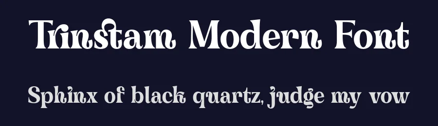 Trinstam Modern Font by zarmatype — Decorative Font — thumbnail 2