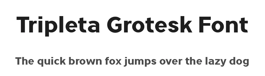 Tripleta Grotesk Font by defharo — Sans Serif Font