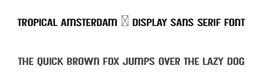 Tropical Amsterdam – Display Sans Serif Font by freshtypeink — Display Font