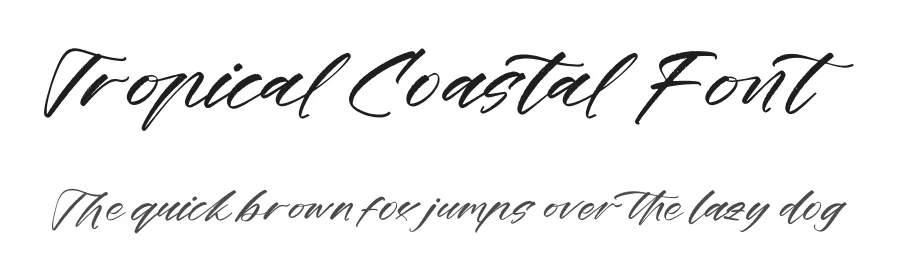 Tropical Coastal Font by stylishtype.co — Script Handwritten Font
