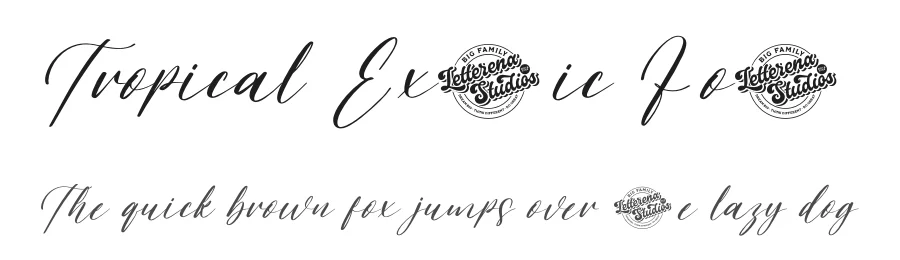 Tropical Exotic Font by letterenastudios — Script Handwritten Font