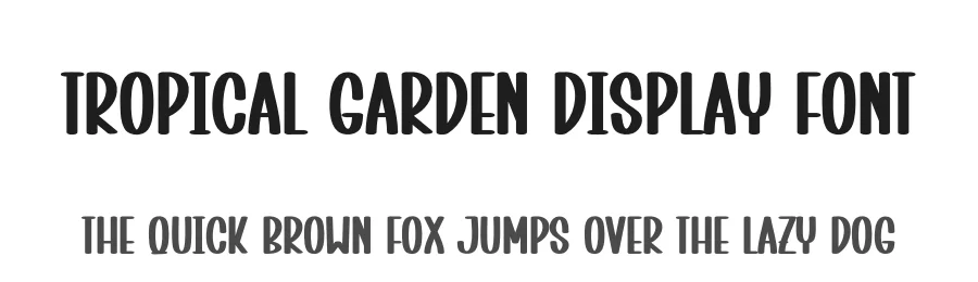 Tropical Garden Display Font by creativeletter — Display Font