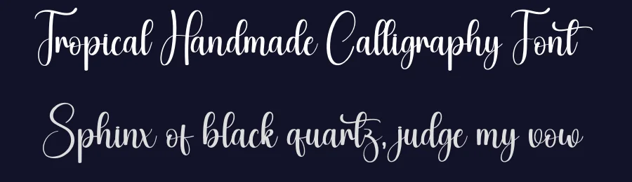 Tropical Handmade Calligraphy Font by creativeletter — Script Handwritten Font — thumbnail 2