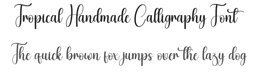 Tropical Handmade Calligraphy Font by creativeletter — Script Handwritten Font