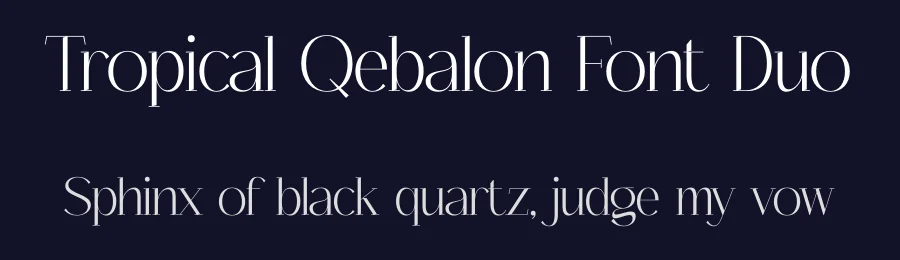 Tropical Qebalon Font Duo by Storytype — Serif Font — thumbnail 2