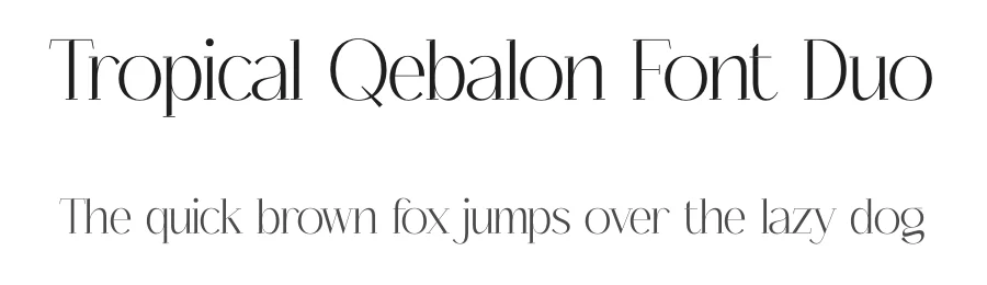 Tropical Qebalon Font Duo by Storytype — Serif Font