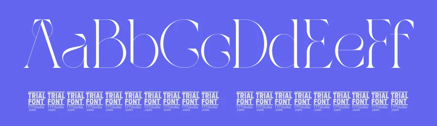 Tropical Shores – Ligature Serif Font by 177Studio — Display Font — thumbnail 3