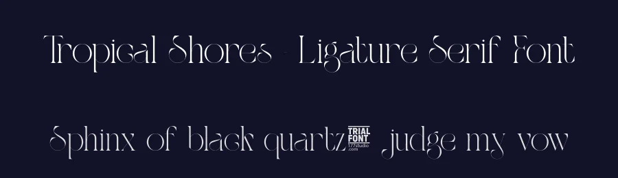 Tropical Shores – Ligature Serif Font by 177Studio — Display Font — thumbnail 2