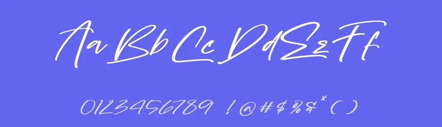 Tropicalist Script Font by Operatype.Co — Script Handwritten Font — thumbnail 3