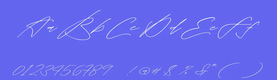 Tropicals Graceful Script Font by stylishtype.co — Script Handwritten Font — thumbnail 3
