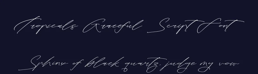 Tropicals Graceful Script Font by stylishtype.co — Script Handwritten Font — thumbnail 2