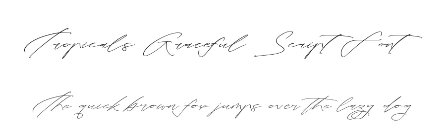 Tropicals Graceful Script Font by stylishtype.co — Script Handwritten Font