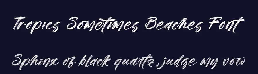 Tropics Sometimes Beaches Font by stylishtype.co — Script Handwritten Font — thumbnail 2