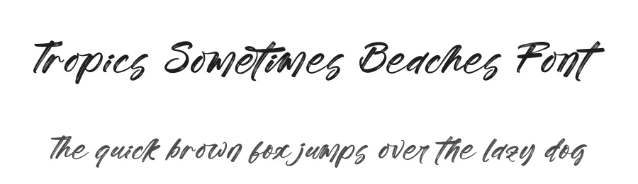 Tropics Sometimes Beaches Font by stylishtype.co — Script Handwritten Font
