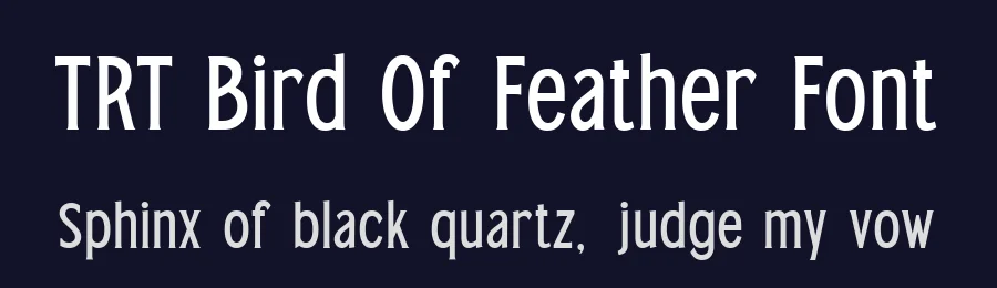 TRT Bird Of Feather Font by truetype — Serif Font — thumbnail 2