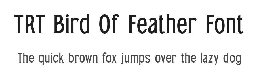 TRT Bird Of Feather Font by truetype — Serif Font