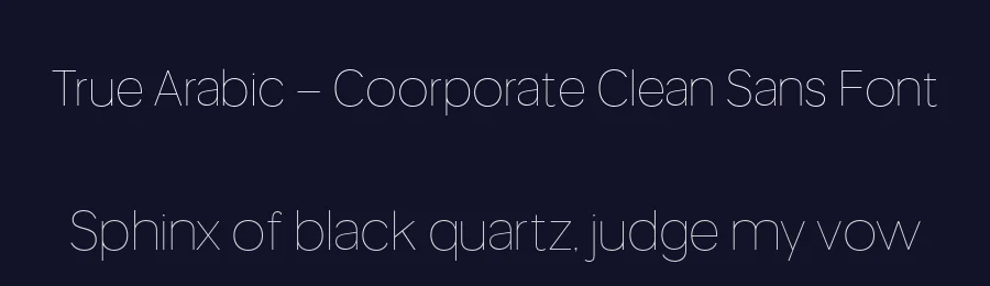 True Arabic – Coorporate Clean Sans Font by Casloop Studio — Decorative Font — thumbnail 2