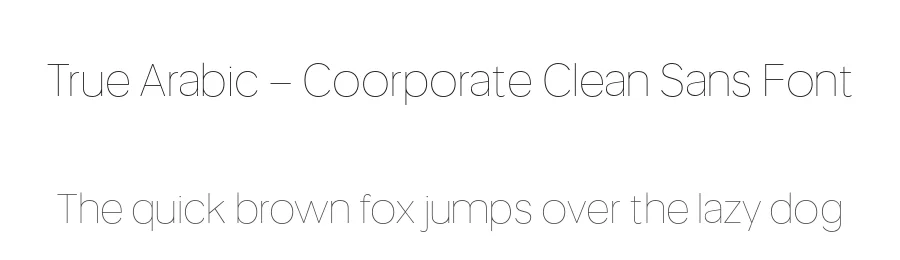 True Arabic – Coorporate Clean Sans Font by Casloop Studio — Decorative Font