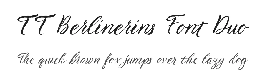 TT Berlinerins Font Duo by TYPETYPE — Sans Serif Font