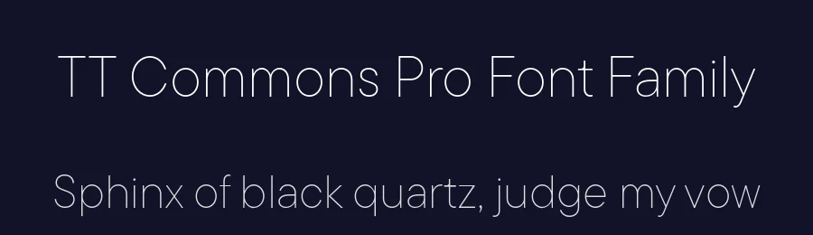 TT Commons Pro Font Family by TYPETYPE — Sans Serif Font — thumbnail 2
