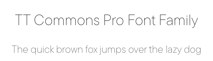 TT Commons Pro Font Family by TYPETYPE — Sans Serif Font